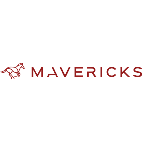 MEENAKSHI MAVERICKS